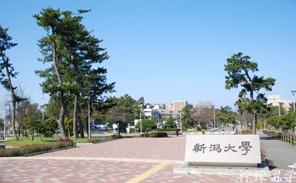 新泻大学