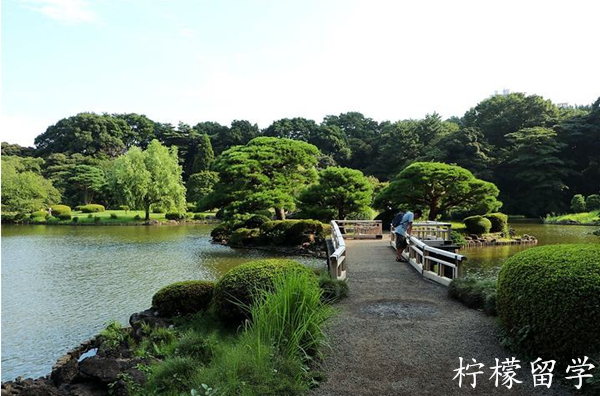 东京COSMO学园