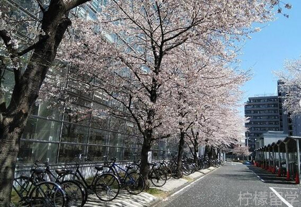 明治大学