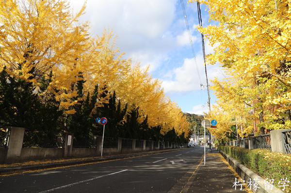 京都工艺纤维大学