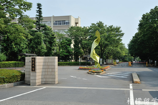 埼玉大学