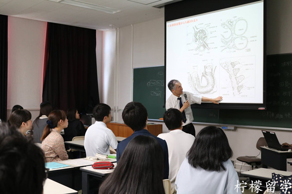 横滨市立大学