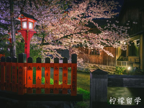 日本大学别科申请