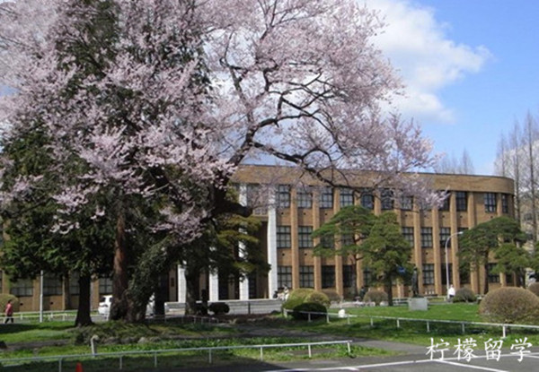 日本大学别科申请