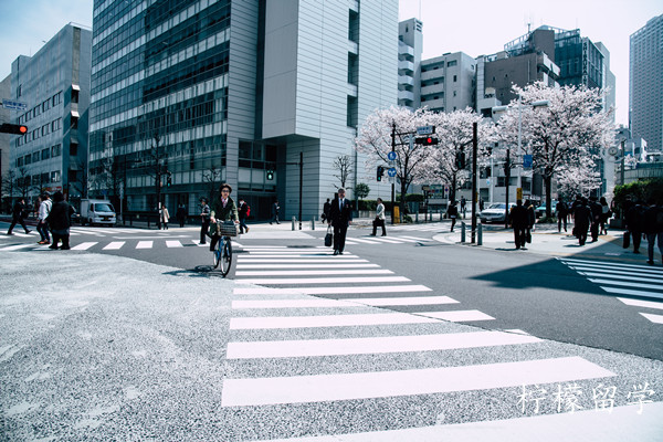 日本大学别科申请