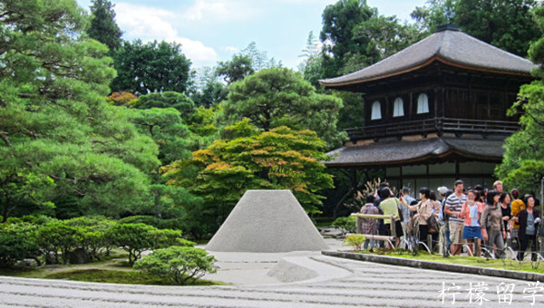 京都大学人间环境学