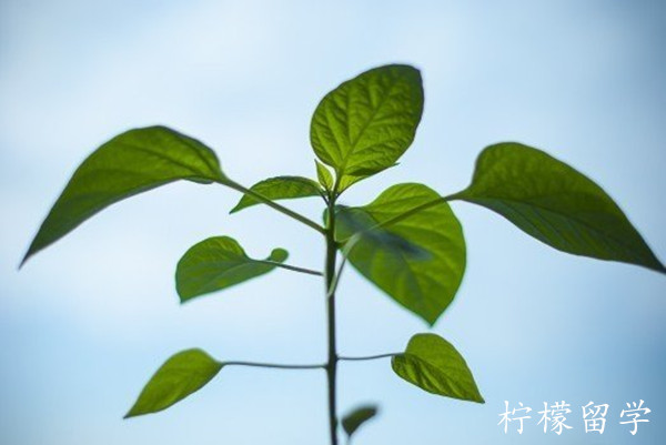 去日本留学一般多少钱