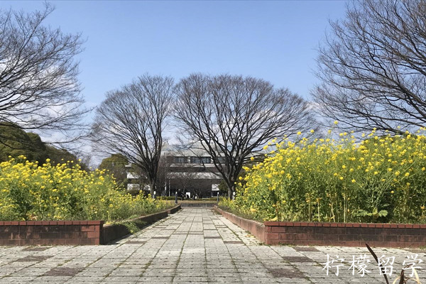 名古屋大学