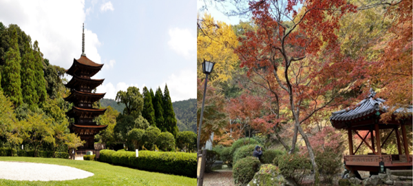 日本大学sgu项目,赴日读研,日本留学,日本研究生申请,日本山口大学,