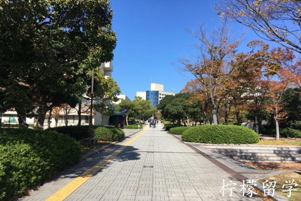 日本大学sgu项目,赴日读研,日本留学,日本大学,日本和歌山大学,