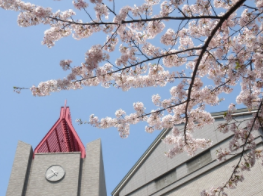 日本留学,赴日读研,日本大学sgu项目,计算机科学专业硕博课程,