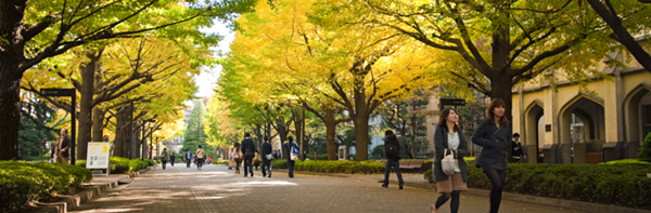 去日本留学,日本sgu项目,赴日读研,柠檬留学,青山学院大学,日本读研,