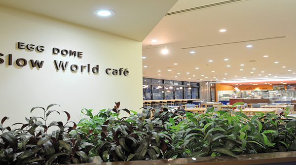 日本留学,赴日读研,柠檬留学,日本法政大学,日本研究生申请,