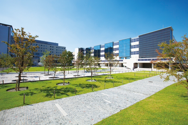 日本留学,赴日读研,柠檬留学,日本法政大学,日本研究生申请,
