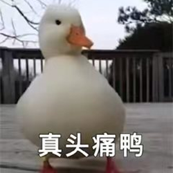 日本留学,赴日读研,日本帝国大学,日本留学大学推荐,日本大学群,