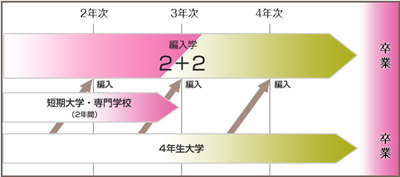 日本留学,大专生去日本留学专升本,