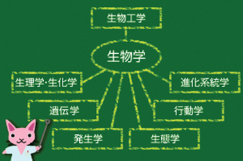 去日本留学,赴日留学,日本sgu,日本sgu生物学本科,