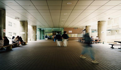 日本留学,日本研究生,日本研究生期间做什么,