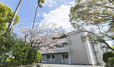 日本留学,赴日读博,长崎大学医齿药学综合研究科博士课程,日本博士申请,