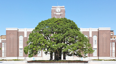 日本留学,京都大学毕业生就职,